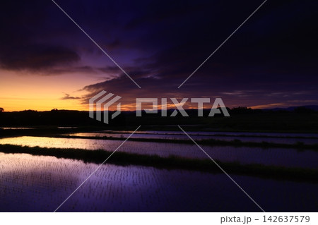 水田に映る夕焼け 142637579