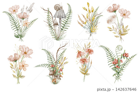 Autumn bouquet watercolor illustration set with wildflowers, grasses, ferns and seasonal foliage isolated on background. Botanical fall clipart collection for harvest and floral designs. Autumn bouquet watercolor illustration set with wildflowers, grasses, ferns and seasonal foliage isolated on background. Botanical fall clipart collection for harvest and floral designs. 142637646