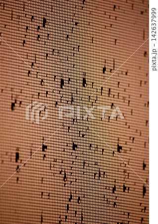 Raindrops on window screen mesh illuminated by warm sunset glow Raindrops on window screen mesh illuminated by warm sunset glow 142637999