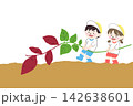 芋掘り　さつまいも　子供　子ども　保育園　幼稚園　女の子　男の子　イラスト素材 142638601