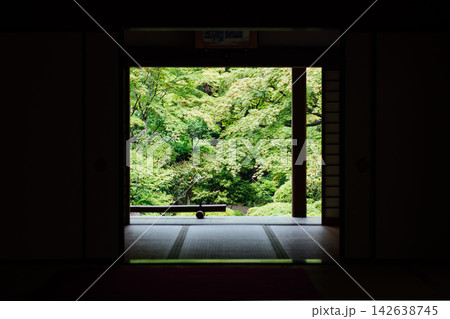 【滋賀県東近江市】金剛輪寺 明壽院 窓から切り取られた風景 【滋賀県東近江市】金剛輪寺 明壽院 窓から切り取られた風景 142638745