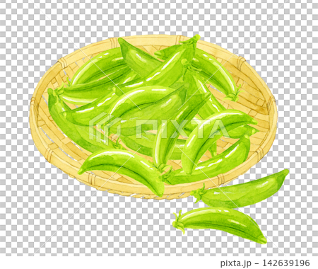 竹ざるに乗ったスナップエンドウ　手描き水彩イラスト素材 142639196