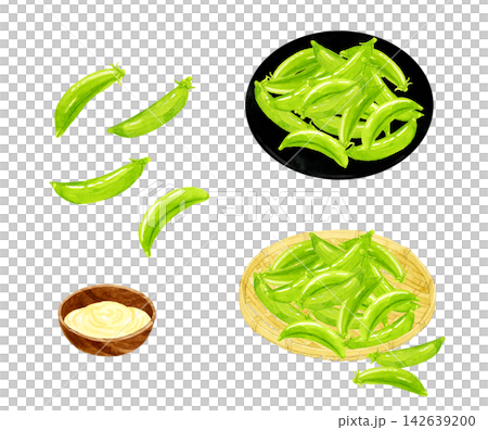 豌豆莢套裝 - 手繪水彩插畫素材 豌豆莢套裝 - 手繪水彩插畫素材 142639200