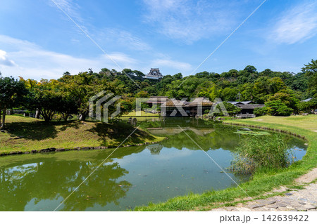 緑豊かな池泉回遊式庭園の池越しに国宝彦根城天守を望む玄宮園 緑豊かな池泉回遊式庭園の池越しに国宝彦根城天守を望む玄宮園 142639422
