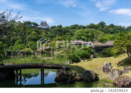 緑豊かな池泉回遊式庭園の池越しに国宝彦根城天守を望む玄宮園 緑豊かな池泉回遊式庭園の池越しに国宝彦根城天守を望む玄宮園 142639424