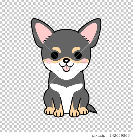 Vector illustration of a Chihuahua (smooth coat, black and tan, full body). Vector illustration of a Chihuahua (smooth coat, black and tan, full body). 142639869