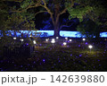 夜の和風庭園を彩る大木と幻想的な光 142639880