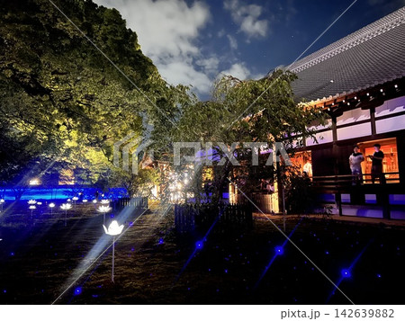 ライトアップされた美しい寺院建築と光の庭 ライトアップされた美しい寺院建築と光の庭 142639882