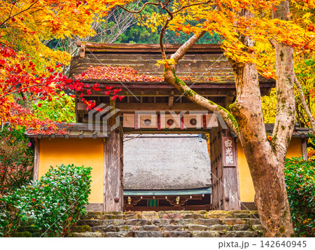 秋の京都 建礼門院ゆかりの尼寺 寂光院 秋の京都 建礼門院ゆかりの尼寺 寂光院 142640945