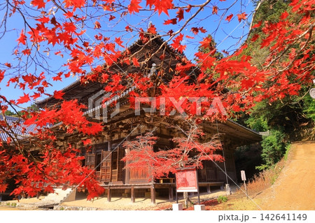 紅葉に包まれた圓教寺大講堂(兵庫県姫路市) 紅葉に包まれた圓教寺大講堂(兵庫県姫路市) 142641149