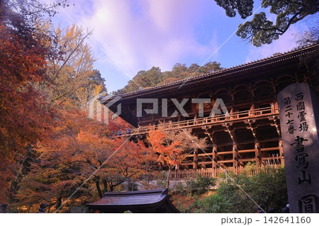 紅葉に包まれた圓教寺（兵庫県姫路市） 142641160