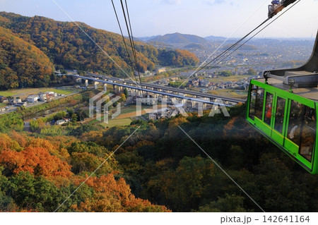 紅葉に染まる書写山(兵庫県姫路市) 紅葉に染まる書写山(兵庫県姫路市) 142641164
