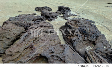Scattered Smooth Pebbles and Stones on Ocean Water Edge 142642070