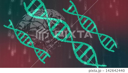 Glowing teal DNA helices floating at center in red-blue gradient, overlaying brain and binary Glowing teal DNA helices floating at center in red-blue gradient, overlaying brain and binary 142642440