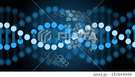 Displaying stylized DNA double helix crossing dark navy gradient, showing hexagonal mesh overlays 142644949