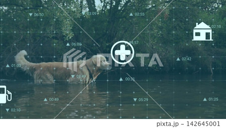 Overlay appearing, golden retriever wading in river by shrub bank, showing med, house, pump icons Overlay appearing, golden retriever wading in river by shrub bank, showing med, house, pump icons 142645001