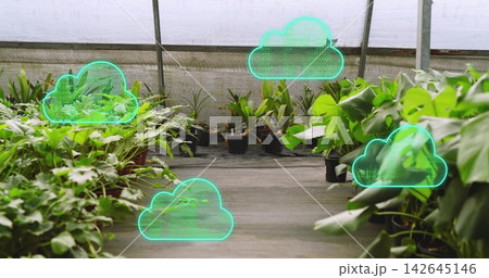 Showing central greenhouse aisle displaying potted plants on gray walkway, with teal cloud overlays Showing central greenhouse aisle displaying potted plants on gray walkway, with teal cloud overlays 142645146