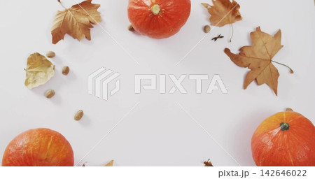 Autumn flat-lay featuring pumpkins, dried leaves, acorn seeds, twigs on flat white surface 142646022