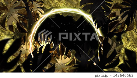 Framing glowing ring, star-filled black void sitting in ornate stage, metallic Monstera leaves 142646562