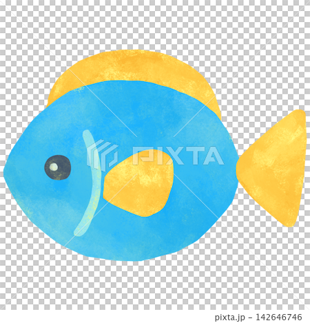 Simple and cute fish illustration Simple and cute fish illustration 142646746