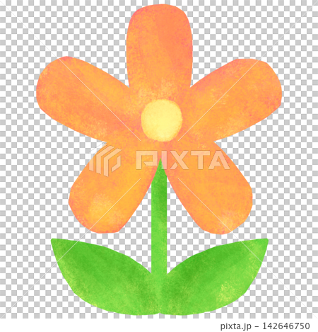 一幅簡潔可愛的單朵花插圖。 一幅簡潔可愛的單朵花插圖。 142646750