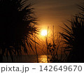 バリの海に沈む夕日 142649670