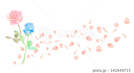水彩で描いた美しいピンクと青いバラのベクターイラスト 水彩で描いた美しいピンクと青いバラのベクターイラスト 142649715