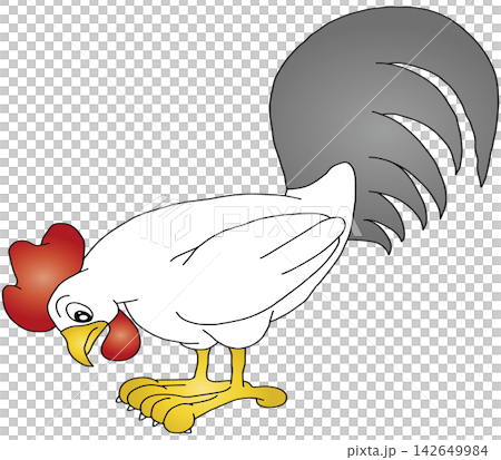 Hand-drawn animal illustration ☆ Chicken Hand-drawn animal illustration ☆ Chicken 142649984