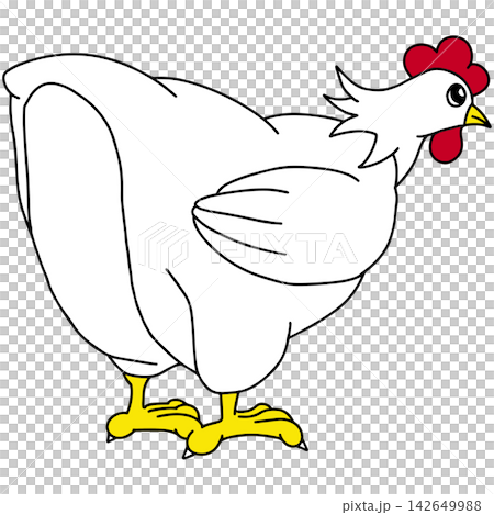 Hand-drawn animal illustration ☆ Chicken 142649988