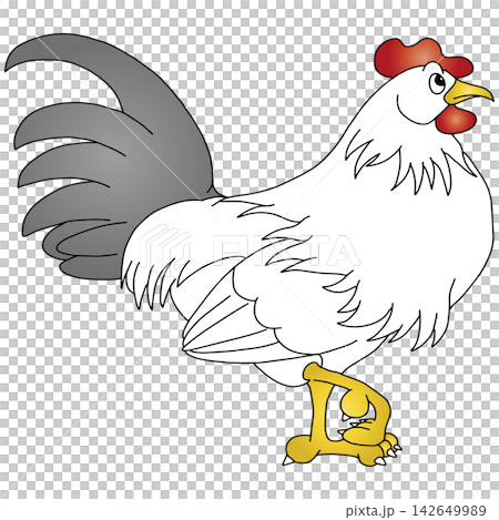 Hand-drawn animal illustration ☆ Chicken Hand-drawn animal illustration ☆ Chicken 142649989