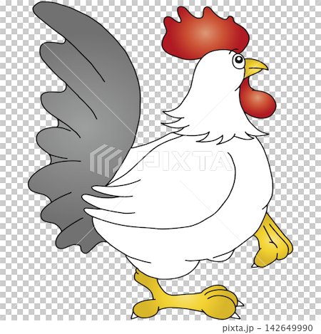 Hand-drawn animal illustration ☆ Chicken Hand-drawn animal illustration ☆ Chicken 142649990