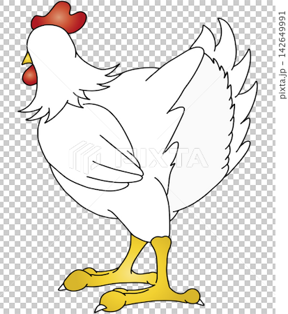 Hand-drawn animal illustration ☆ Chicken Hand-drawn animal illustration ☆ Chicken 142649991