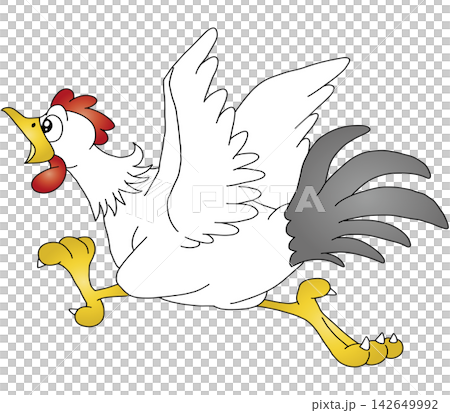 Hand-drawn animal illustration ☆ Chicken Hand-drawn animal illustration ☆ Chicken 142649992