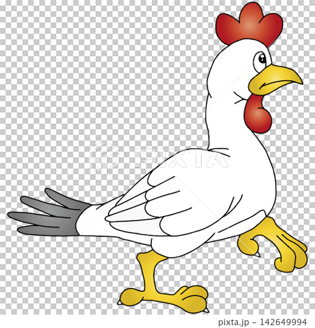 Hand-drawn animal illustration ☆ Chicken Hand-drawn animal illustration ☆ Chicken 142649994
