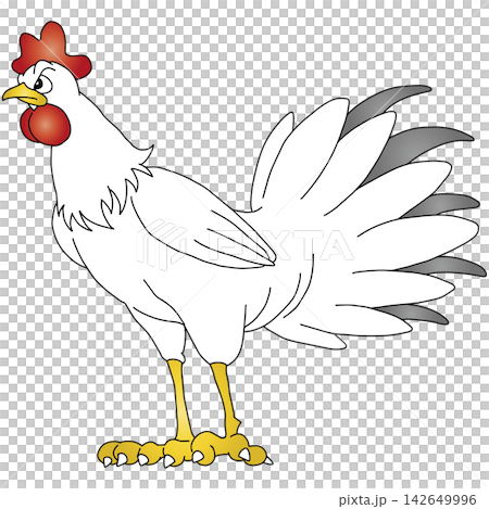 Hand-drawn animal illustration ☆ Chicken Hand-drawn animal illustration ☆ Chicken 142649996