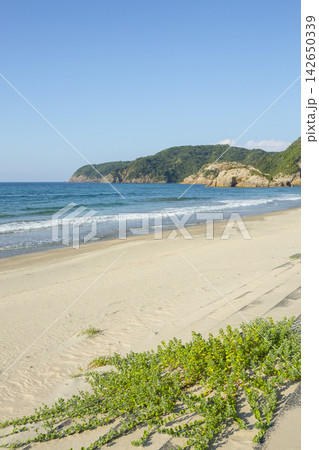 夏の浦富海岸の風景 鳥取県 浦富海岸 夏の浦富海岸の風景 鳥取県 浦富海岸 142650339