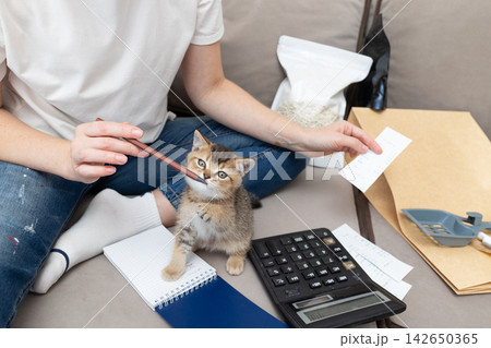 Budgeting for a Pet: Calculating Kitten Expenses in a Cozy Living Room Budgeting for a Pet: Calculating Kitten Expenses in a Cozy Living Room 142650365