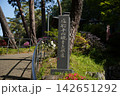 春の塩船観音寺の石 142651292