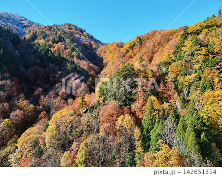<空撮・照葉峡>紅葉した山の間から撮影する風景 <空撮・照葉峡>紅葉した山の間から撮影する風景 142651314