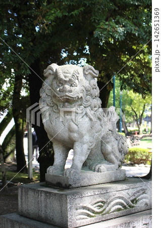 神社に置かれた狛犬 142651369