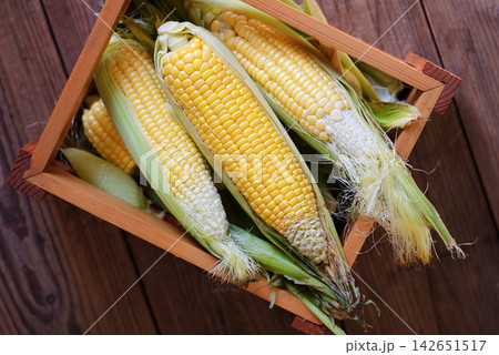 corn on cob, sweet corn for cooking food - fresh corn on wooden box, harvest ripe corn organic corn on cob, sweet corn for cooking food - fresh corn on wooden box, harvest ripe corn organic 142651517