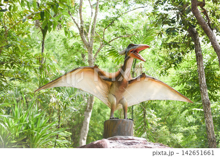 Dinosaur statue in the forest park / Pteranodon Dinosaur statue in the forest park / Pteranodon 142651661