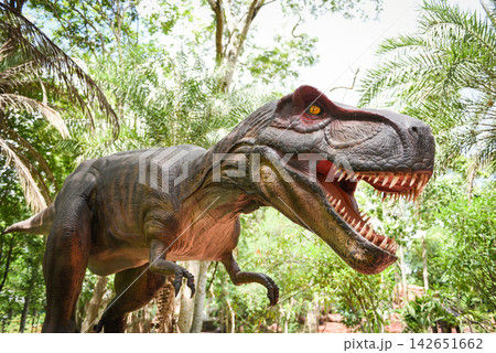 Dinosaur statue in the forest park / Tyrannosaurus rex Dinosaur statue in the forest park / Tyrannosaurus rex 142651662