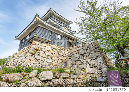 静岡県浜松市 浜松城天守 静岡県浜松市 浜松城天守 142651770