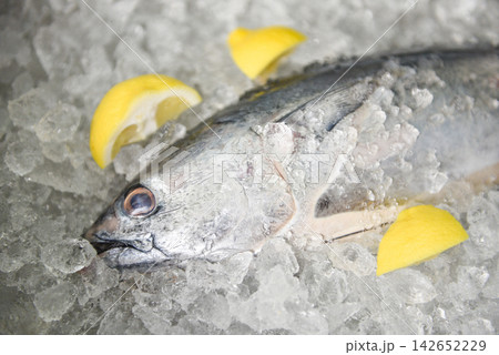 Fresh fish with lemon in the market - Raw fish seafood on ice background top view , Longtail tuna , Eastern little tuna fish Fresh fish with lemon in the market - Raw fish seafood on ice background top view , Longtail tuna , Eastern little tuna fish 142652229