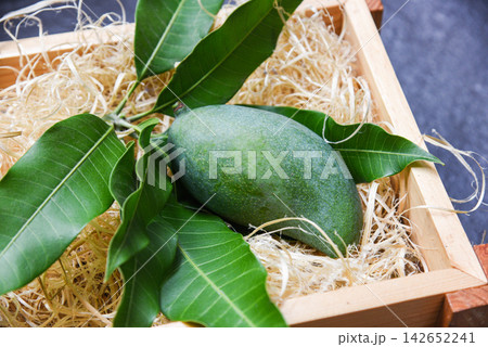Fresh green mango and green leaves on wooden box - harvest mango raw summer fruit Fresh green mango and green leaves on wooden box - harvest mango raw summer fruit 142652241