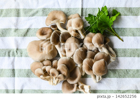 Fresh grey oyster mushroom on table background, fresh raw oyster mushroom for cooking food Fresh grey oyster mushroom on table background, fresh raw oyster mushroom for cooking food 142652256