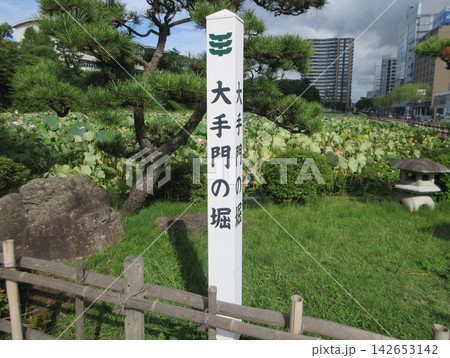 久保田城大手門の堀!秋田県秋田市 久保田城大手門の堀!秋田県秋田市 142653142