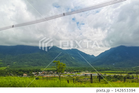 Tropical mountain jungle forest trees clouds and dark sky Brazil. 142653394