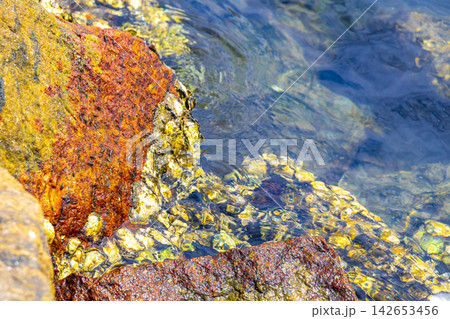 Shells mussels on rocks boulders in turquoise blue water Brazil. Shells mussels on rocks boulders in turquoise blue water Brazil. 142653456